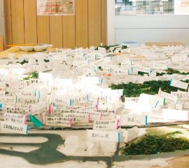 造形学部の3学科